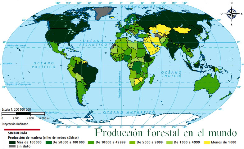 Bosques